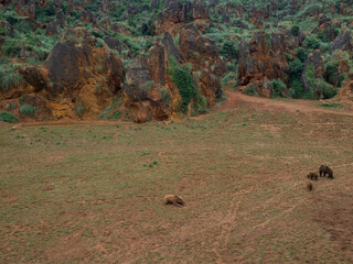 Paisaje del zoo de Cabárceno, con osos pardos jugando,  a lo lejos en Cantabria, España, verano de 2020