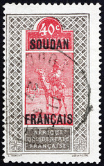 Postage stamp France 1921 Camel and Rider