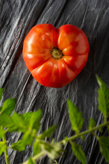 Heart shape tomato on dark background. Solanum lycopersicum.