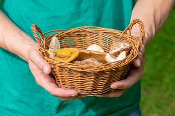 A man holds a wicker basket with mushrooms in his hands, close-up, selective focus.