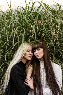 two beautiful twin girls make style in nature, sunset