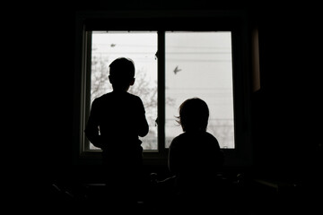 Two children looking out their kitchen window at birds flying by