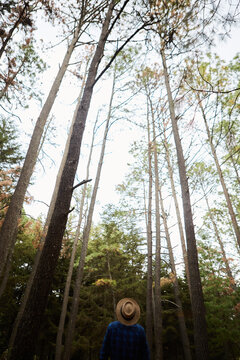Back view of a man in a hat looking up at the sky in the forrest