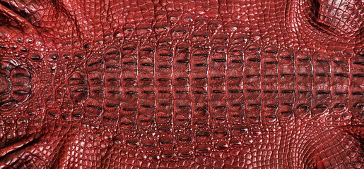 Very luxurious crocodile skin texture used in textile industry