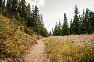 Fototapeta na wymiar Path in the Mountains 