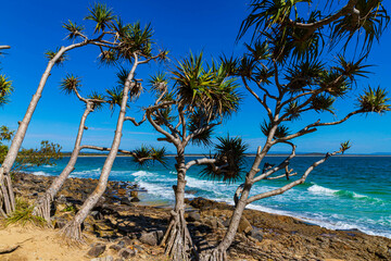 Noosa National Park Coastline, Queensland, Australia