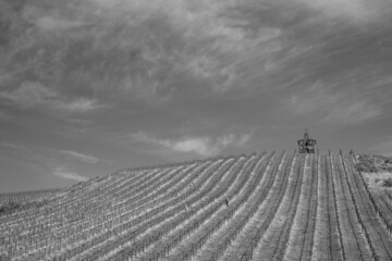 Black and White view of small church on vineyard