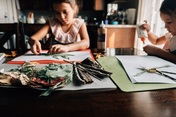 Girls make art projects from nature twigs leaves at homeschool