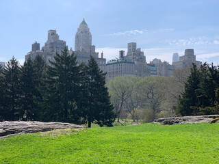 The beauty of the green nature in spring in Central Park