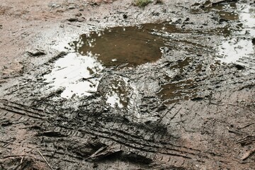 Wheel tracks on the soil road background or texture