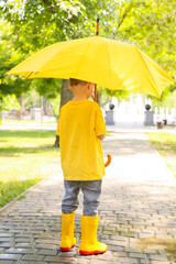 Cute little boy with umbrella outdoors on rainy day