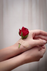 Dry red rose attached to a hand with plaster bands. Natural freshness and woman hand ,hands cosmetics with red rose flower adhesive plaster. Concept - natural therapy