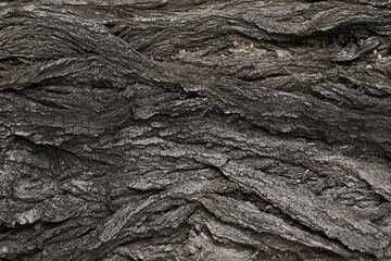old dry tree bark with beautiful cracked texture