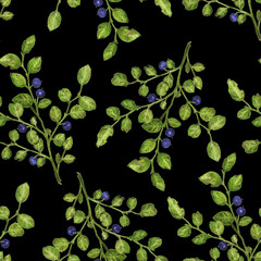 sprig of wild blueberry with berries, watercolor illustration isolated on black background, pattern for textile or paper