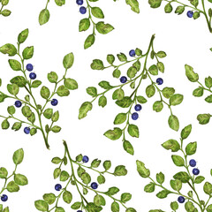 Obraz premium sprig of wild blueberry with berries, watercolor illustration isolated on white background, pattern for textile or paper
