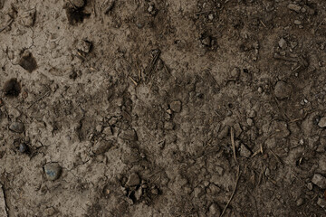 cracked and dry textured floor in natural colors