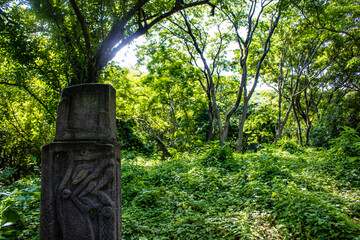 Pre-Colombian Idol with a Carved Based Remains in the Rainforest on Zapatera Island outside of...