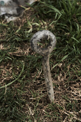 metal anchor in the middle of the forest