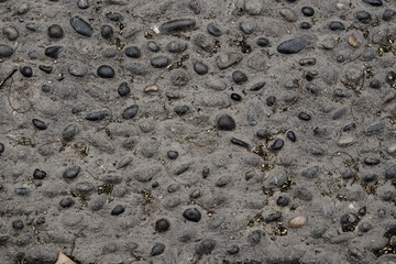 Old forest rock with beautiful cracked texture