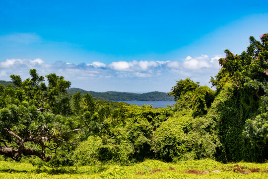 View of the Mountains and Sea Shows through a Vista in the Rainforest on Zapatera Island outside of Granada, Nicaragua