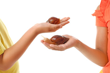 Cute little children with snails on white background