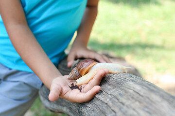 Little boy with snail outdoors, closeup