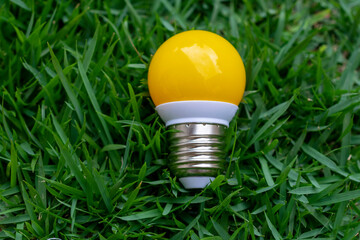 yellow light bulb fallen on green grass