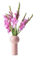 Vase with beautiful gladiolus flowers on white background