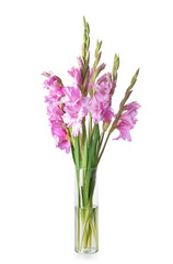 Naklejka na ściany i meble Vase with beautiful gladiolus flowers on white background