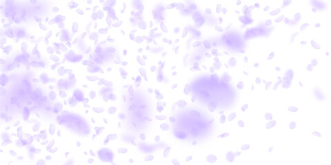 Violet flower petals falling down. Trending romant