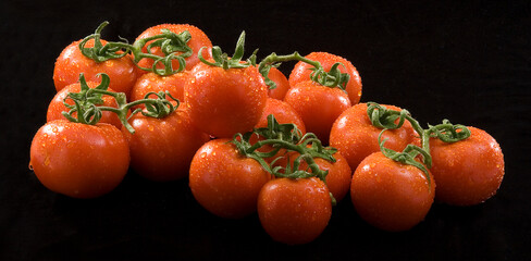 Tomates em rama com gotas de água em fundo negro.