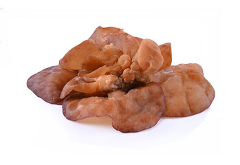 black ear mushroom isolated on white background