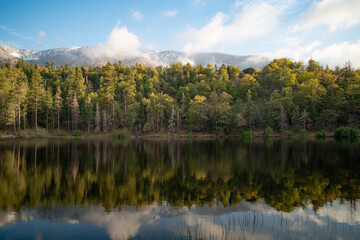 Forest and lake