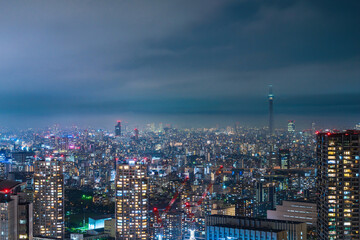 Fototapeta na wymiar 豊洲からの夜景風景 Night view of Tokyo, Japan. 
