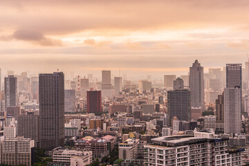 Fototapeta premium 夕方の豊洲から見える都市風景 Cityscape of Tokyo in the evening.
