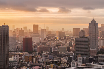 Fototapeta na wymiar 夕方の豊洲から見える都市風景 Cityscape of Tokyo in the evening.