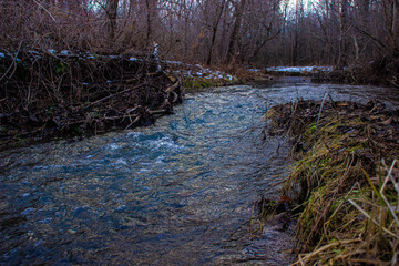 river in the forest