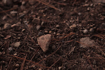 Ground