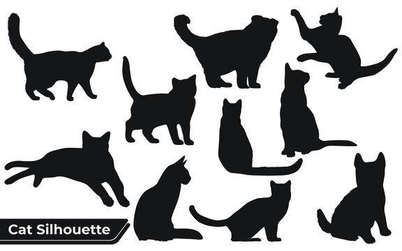 Collection of cats Silhouette in different positions