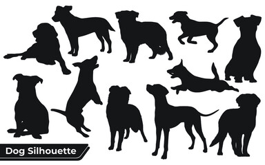 Collection of animal Dog in different positions