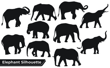 Fototapeta premium Collection of Animal Elephant silhouettes in different positions