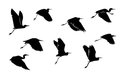 Flock of egrets flying silhouette, black animal shape silhouette vector on white background.