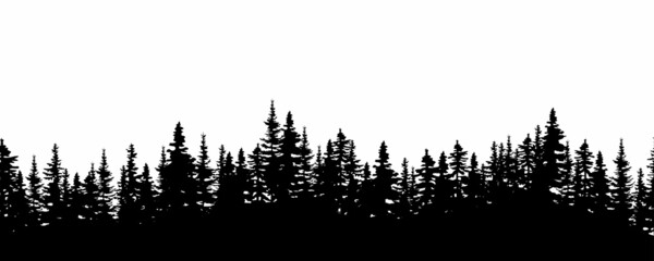 Realistic wood silhouette. Nature landscape. Environment background. Decor art. Vector illustration. Stock image. © Полякевич Олена