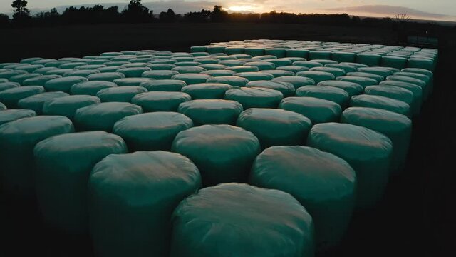 Sunrise at stacked bales of silage in rural New Zealand, ensilage process