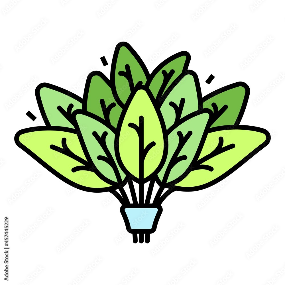Poster spinach branch icon. outline spinach branch vector icon color flat isolated on white