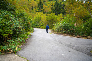 秋の紅葉が始まった長野県北安曇郡小谷村の栂池自然園の展望台までトレッキングしている風景 A view of trekking to the observatory of Tsugaike Nature Park in Otari Village, Kita-Azumi-gun, Nagano Prefecture, where the autumn leaves have begun to cha