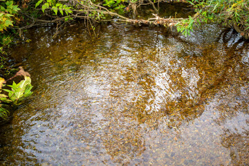秋の紅葉が始まった長野県北安曇郡小谷村の栂池自然園の展望台までトレッキングしている風景 A view of trekking to the observatory of Tsugaike Nature Park in Otari Village, Kita-Azumi-gun, Nagano Prefecture, where the autumn leaves have begun to cha