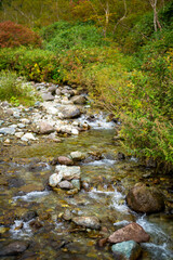 秋の紅葉が始まった栂池自然園の展望台までトレッキングしている風景 A view of trekking to the observatory of Tsugaike Nature Park, where the autumn leaves have started to change color. 