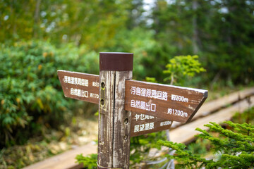 秋の紅葉が始まった栂池自然園の展望台までトレッキングしている風景 A view of trekking to the observatory of Tsugaike Nature Park, where the autumn leaves have started to change color. 