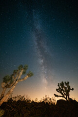 Fototapeta na wymiar sky with stars at Joshua Tree National Park